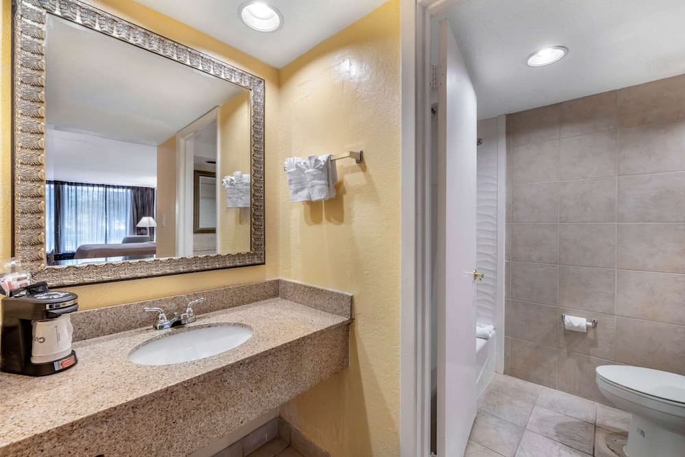 Clarion Inn International Drive 7