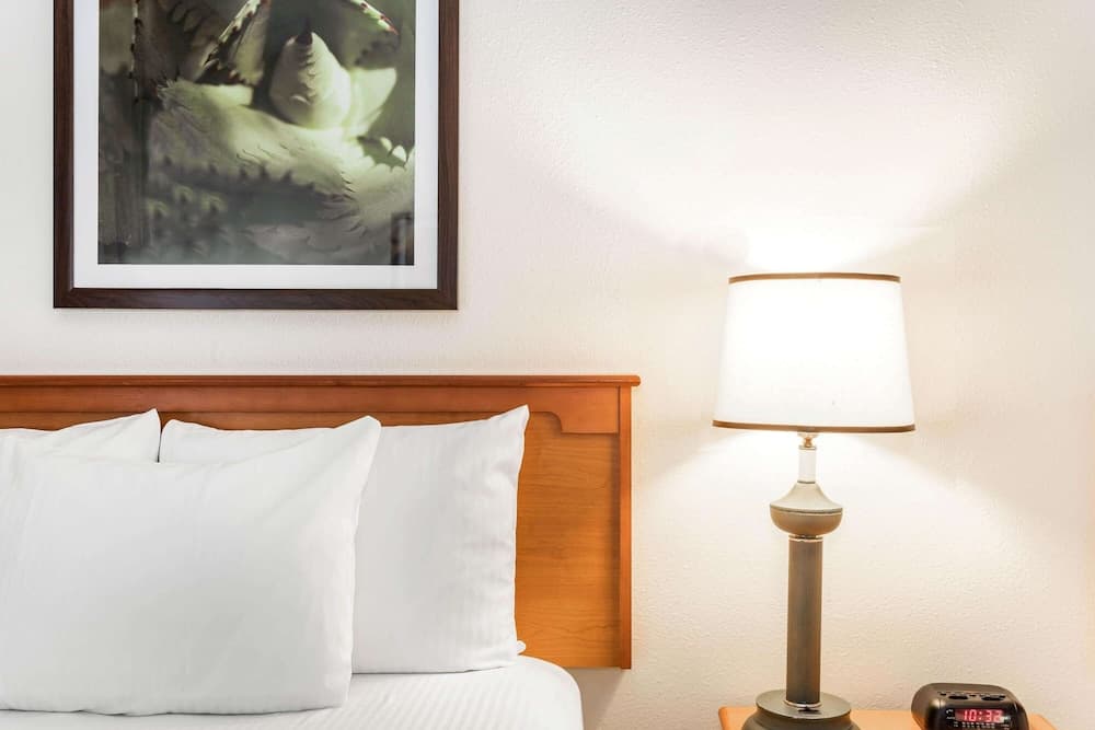 La Quinta Inn & Suites by Wyndham Orlando South 3