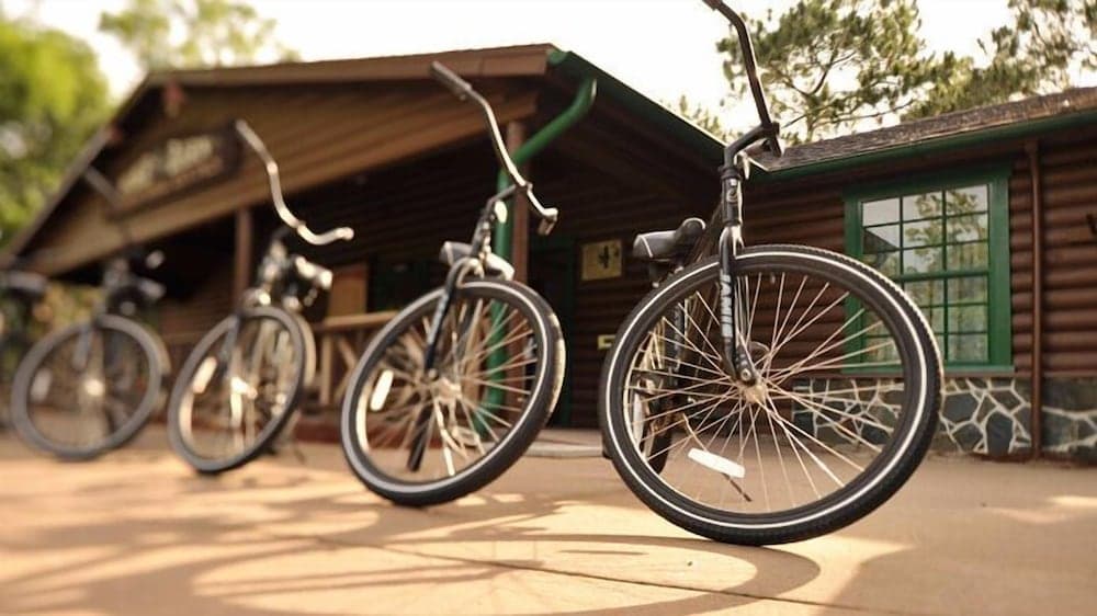 Copper Creek Villas & Cabins at Disney's Wilderness Lodge 8